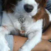 ヒメ日記 2025/08/29 07:08 投稿 梨恵(りえ) PLUS十三店