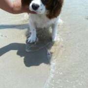 ヒメ日記 2025/08/29 11:28 投稿 梨恵(りえ) PLUS十三店