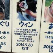 ヒメ日記 2025/08/29 13:38 投稿 梨恵(りえ) PLUS十三店