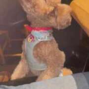 ヒメ日記 2025/09/05 05:38 投稿 梨恵(りえ) PLUS十三店