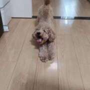 ヒメ日記 2025/09/17 04:08 投稿 梨恵(りえ) PLUS十三店