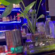 ヒメ日記 2025/10/07 03:28 投稿 梨恵(りえ) PLUS十三店