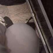 ヒメ日記 2025/10/07 08:06 投稿 梨恵(りえ) PLUS十三店