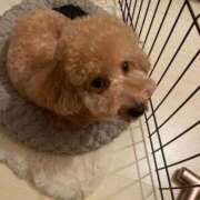 ヒメ日記 2025/10/08 12:58 投稿 梨恵(りえ) PLUS十三店