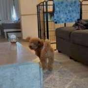 ヒメ日記 2025/10/16 16:18 投稿 梨恵(りえ) PLUS十三店