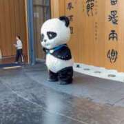 ヒメ日記 2025/10/19 13:08 投稿 梨恵(りえ) PLUS十三店