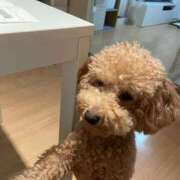 ヒメ日記 2025/10/21 20:08 投稿 梨恵(りえ) PLUS十三店