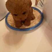 ヒメ日記 2025/10/28 07:54 投稿 梨恵(りえ) PLUS十三店