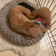 ヒメ日記 2025/10/29 23:17 投稿 梨恵(りえ) PLUS十三店