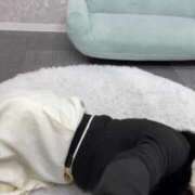 ヒメ日記 2025/11/09 12:39 投稿 梨恵(りえ) PLUS十三店