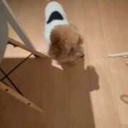 ヒメ日記 2025/11/12 07:03 投稿 梨恵(りえ) PLUS十三店