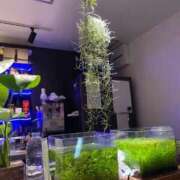 ヒメ日記 2025/11/19 04:08 投稿 梨恵(りえ) PLUS十三店