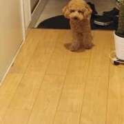 ヒメ日記 2025/11/24 07:58 投稿 梨恵(りえ) PLUS十三店