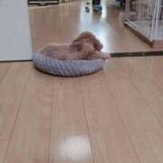 ヒメ日記 2025/11/25 07:33 投稿 梨恵(りえ) PLUS十三店