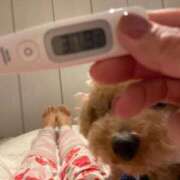 ヒメ日記 2025/11/28 08:48 投稿 梨恵(りえ) PLUS十三店