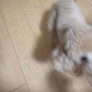 ヒメ日記 2025/12/08 14:38 投稿 梨恵(りえ) PLUS十三店