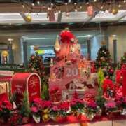 ヒメ日記 2025/12/14 13:58 投稿 梨恵(りえ) PLUS十三店