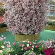 ヒメ日記 2026/03/31 07:58 投稿 梨恵(りえ) PLUS十三店