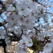 ヒメ日記 2026/04/06 16:59 投稿 梨恵(りえ) PLUS十三店