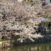 ヒメ日記 2026/04/06 18:18 投稿 梨恵(りえ) PLUS十三店