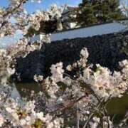 ヒメ日記 2026/04/07 13:03 投稿 梨恵(りえ) PLUS十三店