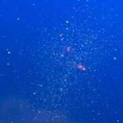 ヒメ日記 2026/04/14 05:38 投稿 梨恵(りえ) PLUS十三店