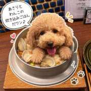 ヒメ日記 2026/07/02 07:58 投稿 梨恵(りえ) PLUS十三店