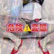 ヒメ日記 2026/10/01 12:29 投稿 梨恵(りえ) PLUS十三店