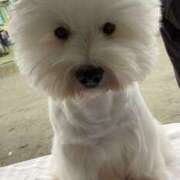 ヒメ日記 2025/06/03 09:40 投稿 まほ エンジェルシリカ