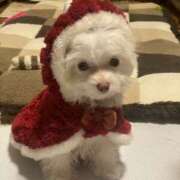 まほ 3 エンジェルシリカ