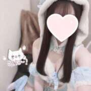 こねこ 出勤追加しました🐻‍❄♡ コンカフェ×オナクラ あいこねくと