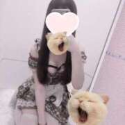 ヒメ日記 2025/12/10 15:19 投稿 こねこ コンカフェ×オナクラ あいこねくと