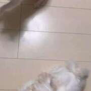 ヒメ日記 2025/10/29 21:44 投稿 のん 谷町豊満奉仕倶楽部