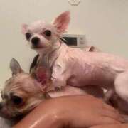 ヒメ日記 2025/11/19 11:04 投稿 のん 谷町豊満奉仕倶楽部