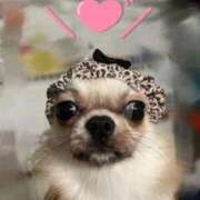 ヒメ日記 2025/12/22 18:39 投稿 のん 谷町豊満奉仕倶楽部