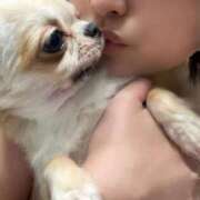 ヒメ日記 2025/12/30 20:44 投稿 のん 谷町豊満奉仕倶楽部