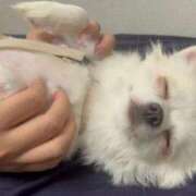 ヒメ日記 2026/01/14 15:34 投稿 のん 谷町豊満奉仕倶楽部