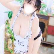 ヒメ日記 2026/01/15 09:34 投稿 のん 谷町豊満奉仕倶楽部