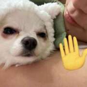 ヒメ日記 2026/02/01 14:34 投稿 のん 谷町豊満奉仕倶楽部