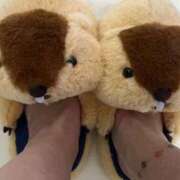 ヒメ日記 2026/03/03 14:49 投稿 のん 谷町豊満奉仕倶楽部