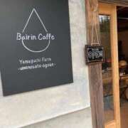 ヒメ日記 2026/03/10 15:04 投稿 のん 谷町豊満奉仕倶楽部