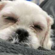 ヒメ日記 2026/03/27 11:44 投稿 のん 谷町豊満奉仕倶楽部