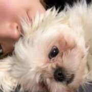 のん ふぁい！ 谷町豊満奉仕倶楽部