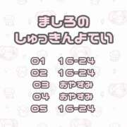 ヒメ日記 2025/05/01 13:21 投稿 ましろ 男爵