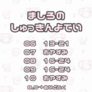 ヒメ日記 2025/05/05 13:14 投稿 ましろ 男爵