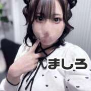 ヒメ日記 2025/05/11 13:16 投稿 ましろ 男爵