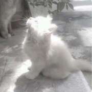 ヒメ日記 2025/07/01 18:07 投稿 あやの 初体験