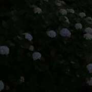 ヒメ日記 2025/07/07 17:26 投稿 あやの 初体験