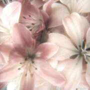 ヒメ日記 2025/07/15 17:16 投稿 あやの 初体験