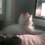 ヒメ日記 2025/07/26 16:35 投稿 あやの 初体験